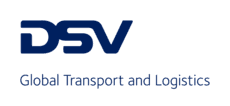 DSV logo with payoff