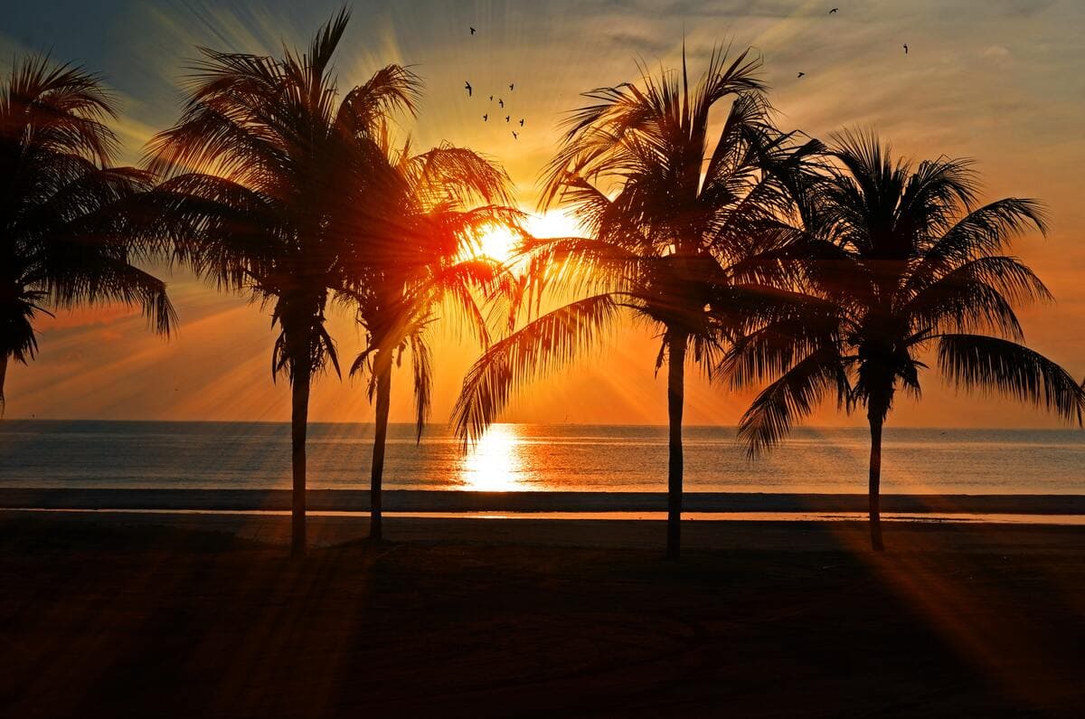 How to keep your payroll cool in summer months