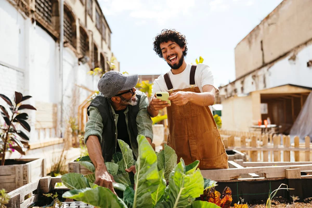 recht op klein verlet simulatietool